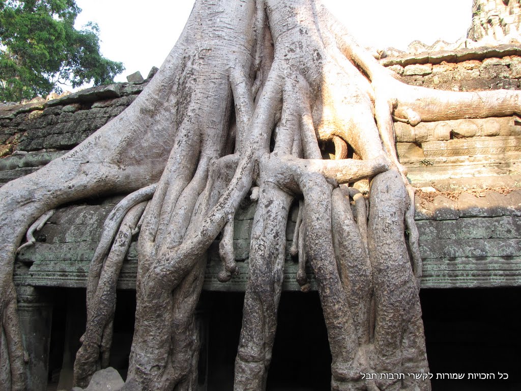 Angkor Thom Omer