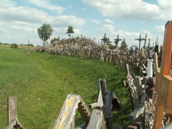 Baltiot13